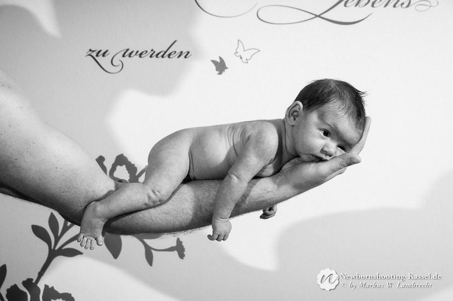 Newborn-Photoshooting